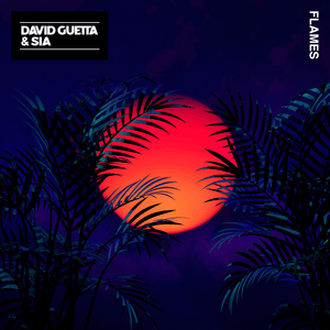 Flames - David Guetta & Sia