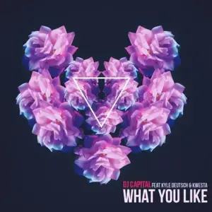 What You Like - DJ Capital (Ft. Kwesta & Kyle Deutsch)