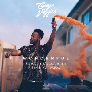 Wonderful - Casey Veggies (Ft. Ty Dolla $ign)