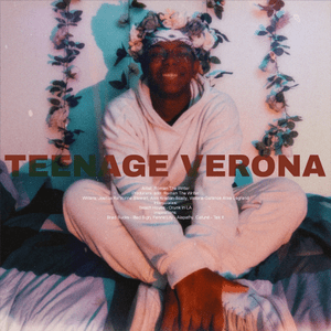 Teenage Verona - Roman The Writer