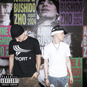 SOS - Aarne & BUSHIDO ZHO