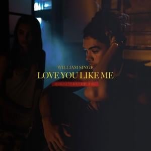 Love You Like Me - William Singe