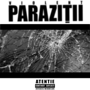 Violent (Pagal Delay Remix) - Paraziții