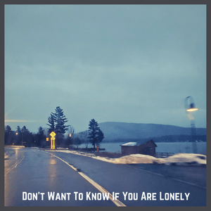 Don’t Want to Know If You Are Lonely - Burn Your Idols