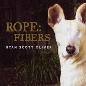 I Have Seen the After - Ryan Scott Oliver (Ft. John-Michael Lyles)