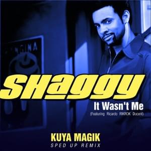 It Wasn’t Me (Sped Up) - Shaggy