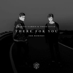 There for You (BROHUG Remix) - Martin Garrix & Troye Sivan