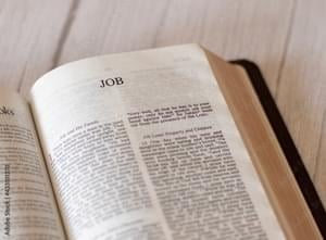 Job 6 - Holy Bible (KJV)