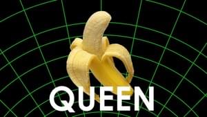 Queen - Evidentlyfresh