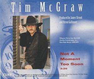 Not a Moment Too Soon - Tim McGraw