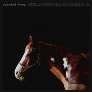 Gameshark - Foxing