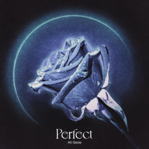 Perfect - Ali Gatie