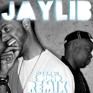 The Mission (Stringed Out Mix) - Jaylib