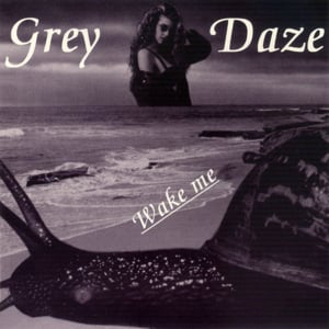 Shouting Out - Grey Daze