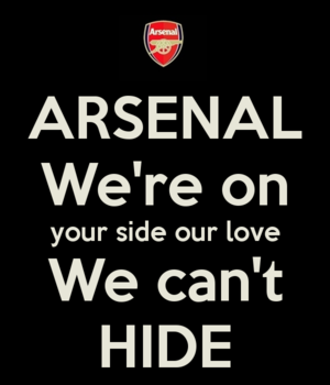 Arsenal We’re on Your Side - Various Artists