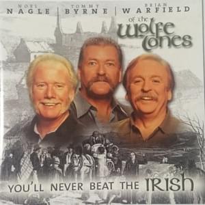 We Are The Irish - The Wolfe Tones