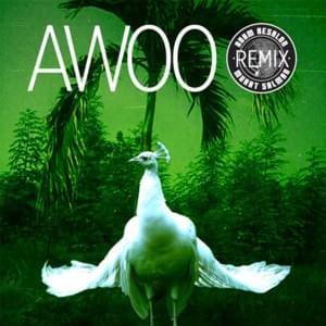 Awoo (Adam Aesalon & Murat Salman Remix) - SOFI TUKKER (Ft. Betta Lemme)