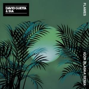 Flames (Igor Blaska Remix) - David Guetta & Sia