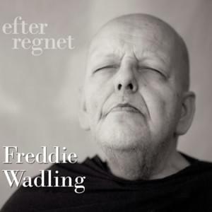 Söndag Morgon - Freddie Wadling