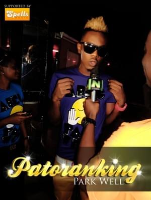 How Much (Park Well) - Patoranking (Ft. Skarfizo)