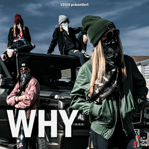 Why - VDSIS (Ft. Nele (VDSIS))