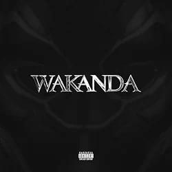 Wakanda - JANI