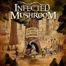 Can’t Stop - Infected Mushroom