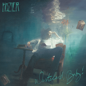 Why Would You Be Loved - Hozier