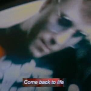 Come Back to Life - The Zolas