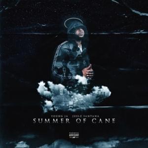 Summer of Cane - Young Ja (Ft. Juelz Santana)