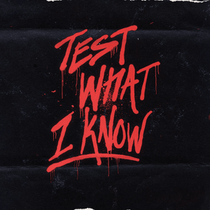 Test What I Know - Roy Woods