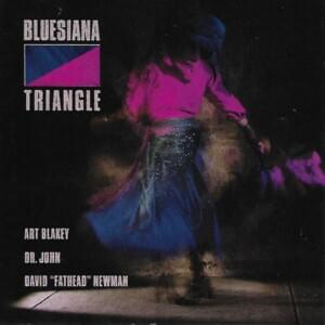 Shoo Fly Don’t Bother Me - Bluesiana Triangle