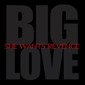 Big Love - She Wants Revenge