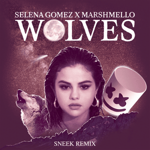 Wolves (Sneek Remix) - Selena Gomez & Marshmello