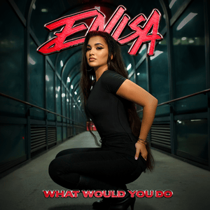 What Would You Do - Enisa