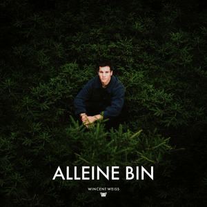 Alleine Bin - Wincent Weiss