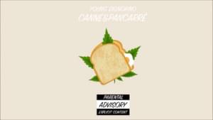 Canne&Pancarré - Young Signorino