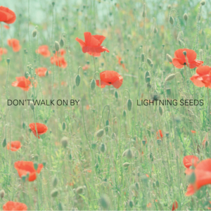 Don’t Walk On By - The Lightning Seeds