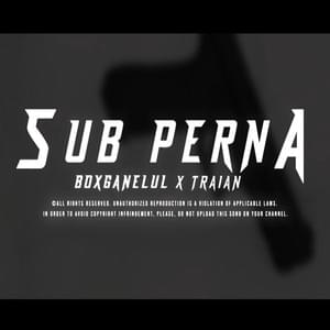 Sub Pernă - Boxganelul (Ft. Traian (trxixn))