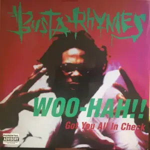 Woo Hah!! Got You All In Check (Fila Mix 4) - Busta Rhymes