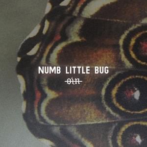 Numb Little Bug - Our Last Night