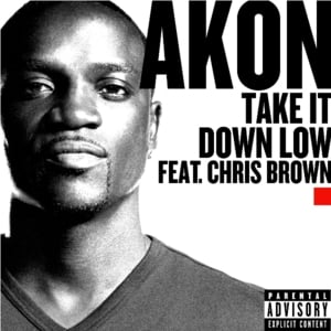 Take It Down Low - Akon (Ft. Chris Brown)