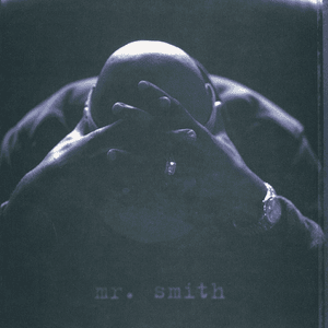 Mr. Smith - LL COOL J