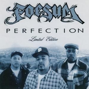 Let ’Em Understand Perfection - Foesum (Ft. Snoop Dogg)