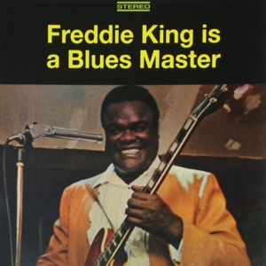 Let Me Down Easy - Freddie King