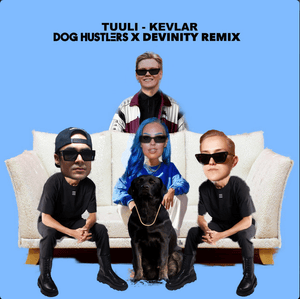 Kevlar - DOG HUSTLERS x Devinity Remix - TUULI & DOG HUSTLERS & Denivity