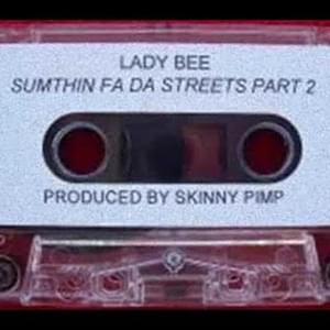 Run Into Yo Ass - Lady Bee (USA) (Ft. Kingpin Skinny Pimp)