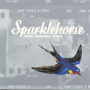 Hey Joe - Sparklehorse