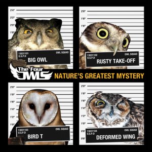 Out Of Me - The Four Owls