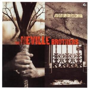 Dimming of the Day - The Neville Brothers